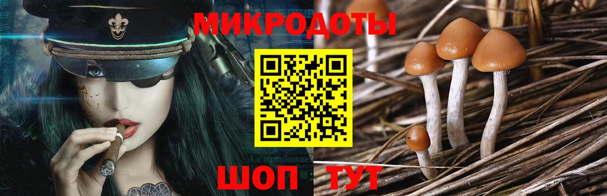 Галлюциногенные грибы Psilocybine cubensis  Галлюциногенные грибы Psilocybe  Вход с VPN  Новоалтайск 
